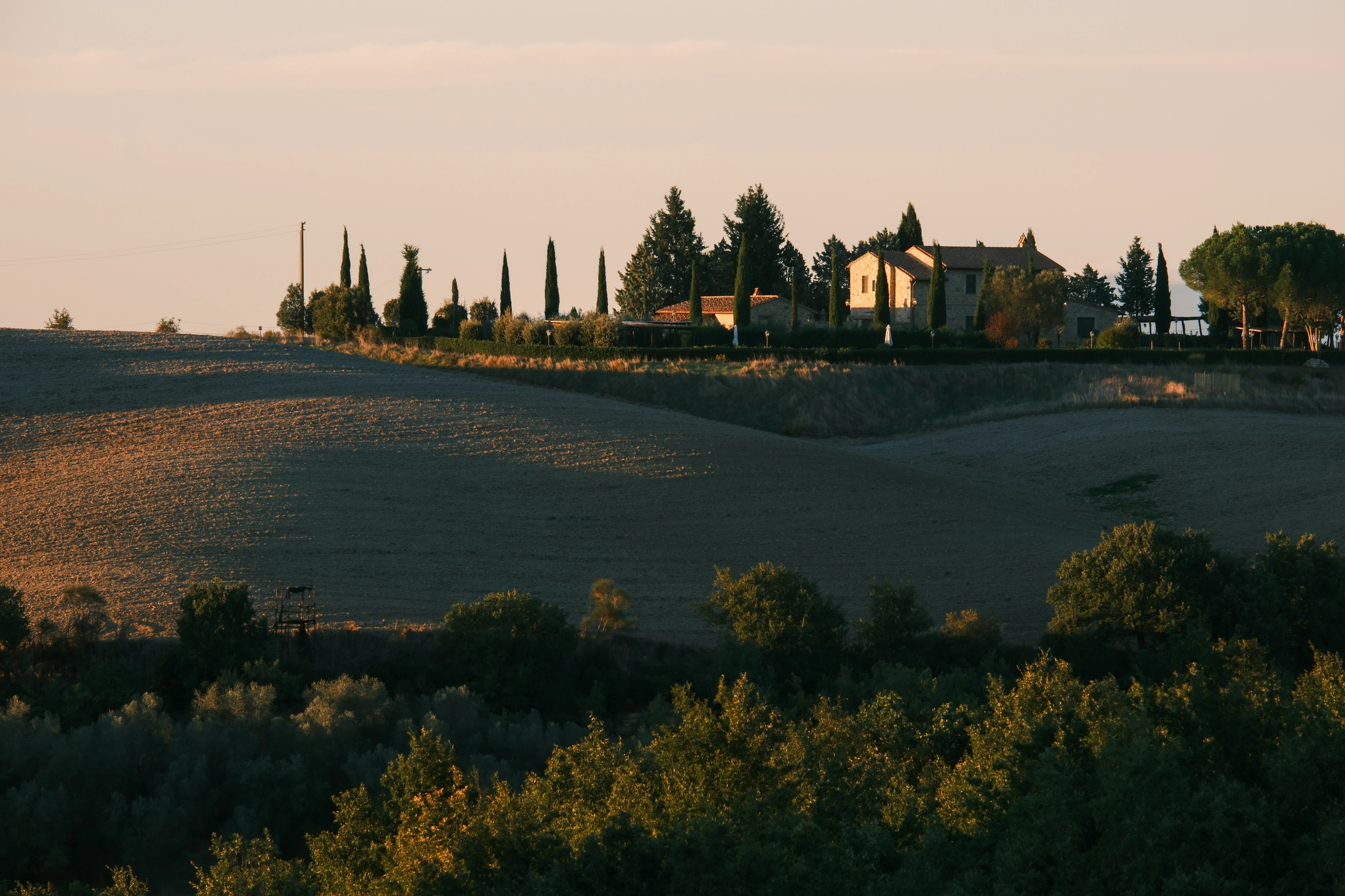 Terra Comune